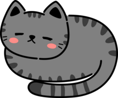 sleeping black tabby cat flat design cartoon doodle element png