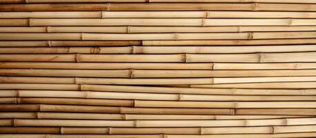 Bamboo sticks in visible circle shape with cut ends photo