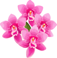 Exquisito mano dibujado orquídea flor ilustración, ai generado png