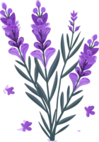 mano dibujado lavanda flor arte, adorable decorativo elemento, ai generado png