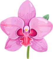 graciös orkide blomma teckning, ai genererad png