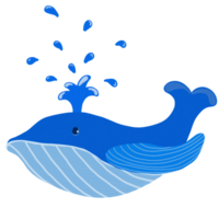 Blue whale in the sea png