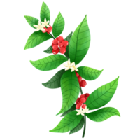 Red berry with leaf. png