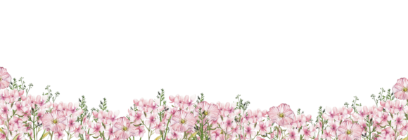 Floral seamless horizontal background. png