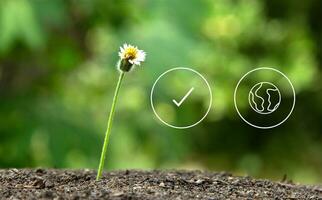 un sostenible negocio o verde negocio antecedentes con conexión icono concepto relacionado a ambientalmente simpático ambiental icono foto