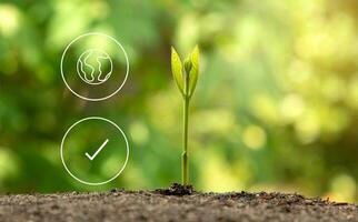 A Natural green business background with connection icon concept environmentally environmental icon photo