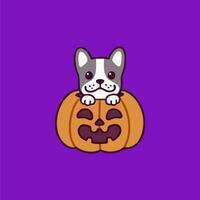 the best illustrations of cute and adorable pumpkins vector