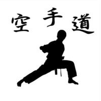 martial art silhouette vector illustration