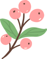 Coffee cherry flat design png