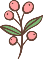 Coffee cherry doodle outline png
