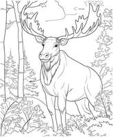 Moose jungle coloring pages vector