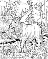 Vector illustration of Moose in the jungle coloring page