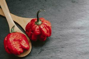 Hottest pepper in the world. Trinidad Scorpion Butch, thousands of times more spicy than Havana. On black slate background, with natural light. Spicy dark food food concept. photo