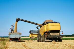 Hatvesting machine pours wheat grains into bacl of tractor, Harvest season photo