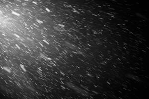 Falling snow flakes or rain on black background photo