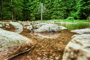 Fast mountain river with cascades in Karpacz, Poland photo