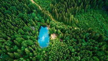 aéreo ver de azul de colores bosque lago en Polonia foto