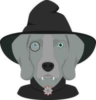 Halloween greeting card. Weimaraner dog dressed as a vampire with fangs, monocle, cape and black hat vector