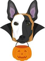 Halloween greeting card. Belgian Sheperd Malinois dog with a white half mask over his face, black cape and a pumpkin in the mouth vector