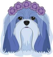 Halloween greeting card. Lhasa Apso dog dressed as a ghost with purple flowers on his head and a wedding veil vector