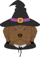 Halloween greeting card. Spanish Water dog dressed as a witch or a wizard with glasses, black hat and black robe vector