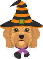 Halloween greeting card. Cavoodle dog dressed as a witch with black and orange hat and purple and black scarf vector