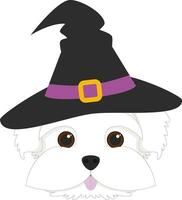 Halloween greeting card. Maltese dog dressed as a witch with black hat vector