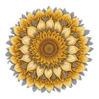 mandala diseño, vistoso mándala, floral mandala diseño, ai generado png