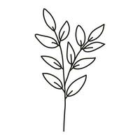 Isolated hand drawn doodle line branch. Flat vector illustration on white background.