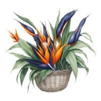 waterverf bloemen mand, waterverf mand, bloem mand, waterverf bloemen bloem ontwerp, waterverf bloem regelingen bloemen, waterverf bloem ontwerp, bruiloft decoratie, ai gegenereerd png