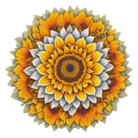 mandala diseño, vistoso mándala, floral mandala diseño, ai generado png