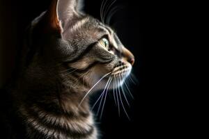 a close up of a tabby cat looking off into the distance generative AI photo