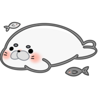 cute seal with Little fish png