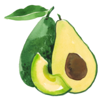 aguacate acuarela Fruta png