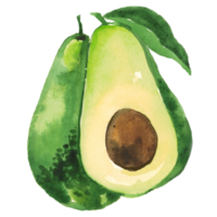 abacate aguarela fruta png