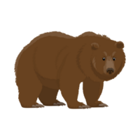 Tierwelt-Themen braun Bär Abziehbilder png