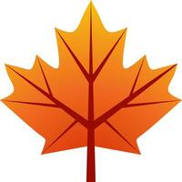 Maple leaf autumn vector illustration. Maple fall season icon with gradient color. Autumn leaf graphic resource for icon, sign, symbol or decoration. Fall season leaf icon for design hygge and cozy