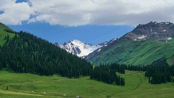 Nalati prairie et neigeux montagnes. laps de temps la photographie dans Nalati prairie, xinjiang, Chine. video