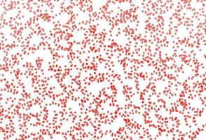 Light Red vector cover with spots.