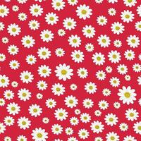 Wild chamomile flowers on a red background create a seamless summer pattern with large white flowers for textile. Vector. vector