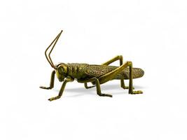 golden grasshopper animal statue on white background photo