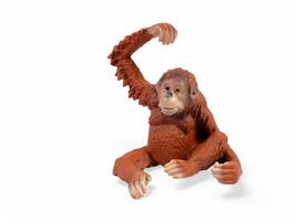 Miniature animal orangutan child isolated on white photo