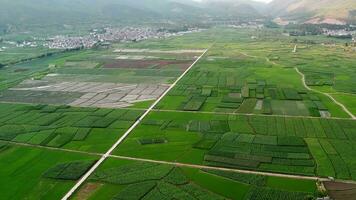 by och fält i shaxi, Yunnan, Kina. video