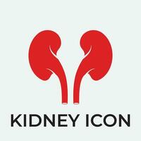 kidney vector illusrtation