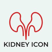 kidney vector illusrtation