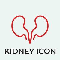 kidney vector illusrtation