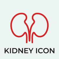 kidney vector illusrtation