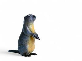 Gray groundhog miniature animal on white background photo