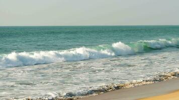 enorme turquesa Oceano ola con espuma y rociar rollos sobre el playa en soleado clima video