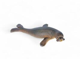 Animal miniature brown seal on white background photo